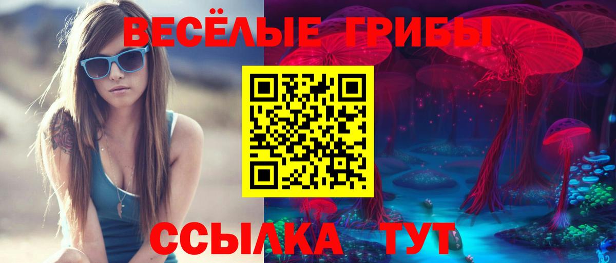 Сарапул  Псилоцибиновые грибы прущие грибы  купить  цена  Вход с VPN 